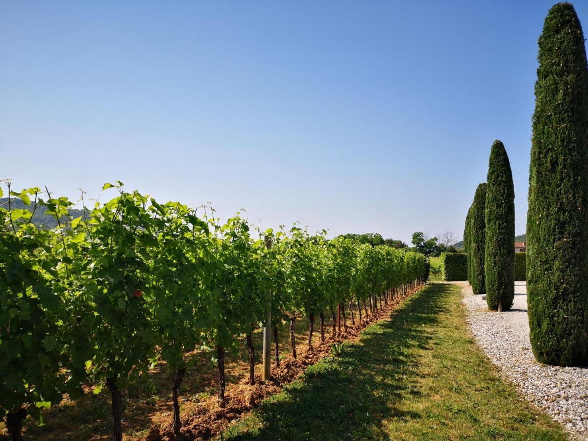Pizzulin - Wine & Living Villa Prepotto  ภายนอก รูปภาพ