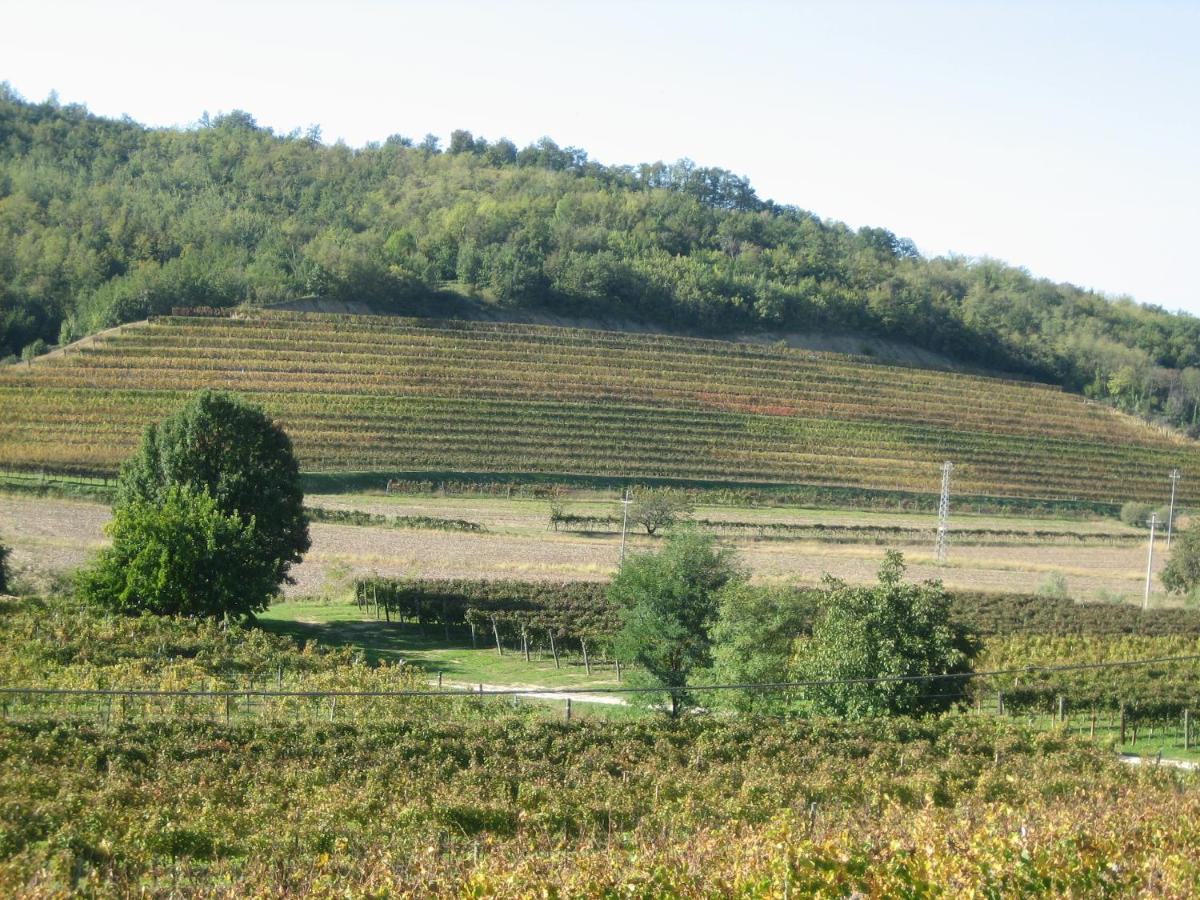 Pizzulin - Wine & Living Villa Prepotto  ภายนอก รูปภาพ